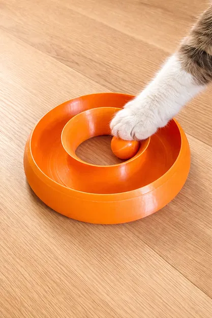 Đồ chơi cho mèo Cat Ball Toy (Dạng vòng Torus) - Image 2