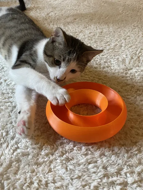 Đồ chơi cho mèo Cat Ball Toy (Dạng vòng Torus) - Image 3