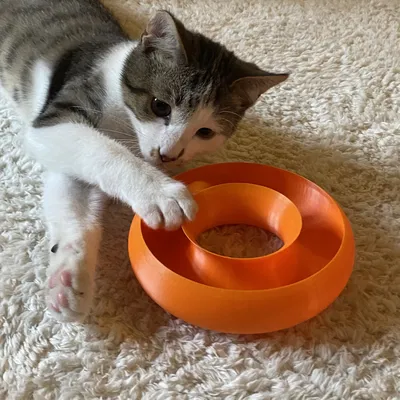 Đồ chơi cho mèo Cat Ball Toy (Dạng vòng Torus)