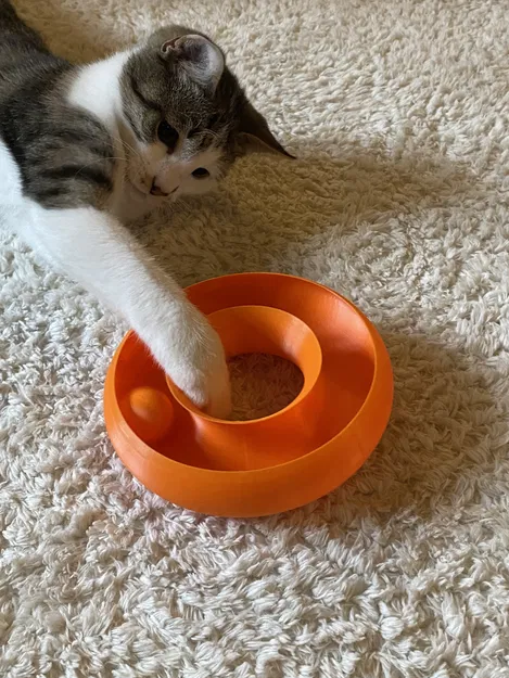 Đồ chơi cho mèo Cat Ball Toy (Dạng vòng Torus) - Image 4