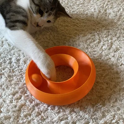 Đồ chơi cho mèo Cat Ball Toy (Dạng vòng Torus)