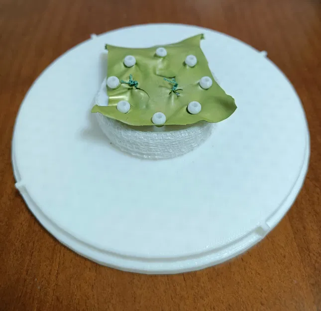 Mô hình nội soi khớp dùng để tập luyện - Image 3