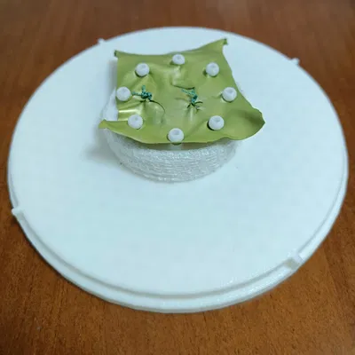 Mô hình nội soi khớp dùng để tập luyện