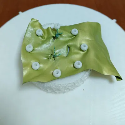 Mô hình nội soi khớp dùng để tập luyện