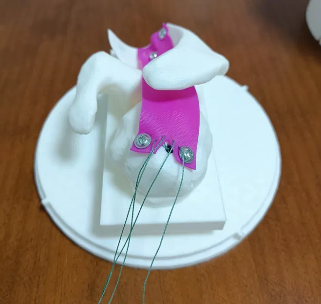 Mô hình nội soi khớp dùng để tập luyện - Image 7