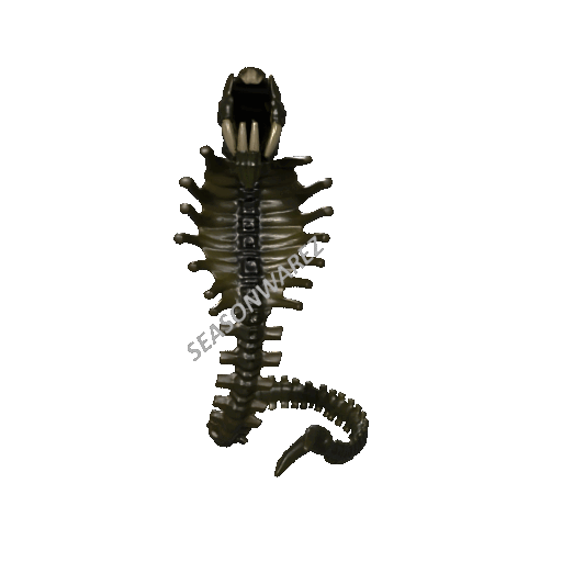 Snake Alien - Mô hình Xenomorph cổ điển - Image 4