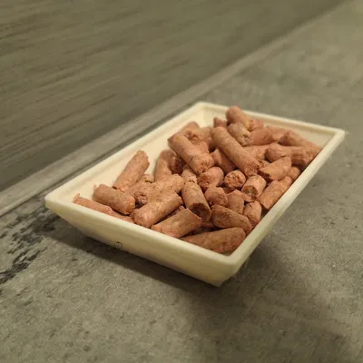 Mẫu khay đựng thức ăn 3D nhỏ gọn cho chuột cảnh và vật dụng cá nhân