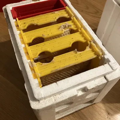 Máng ăn cho thùng nuôi ong mini (Mini-nuc bee hive feeder)