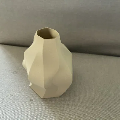Bình hoa kiểu dáng hữu cơ (Chế độ Vase Mode)