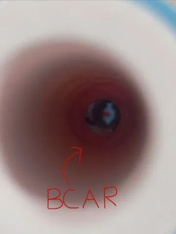 Bộ chuyển đổi BCAR cho Boxer Pro - Image 6