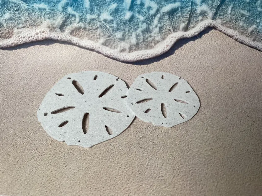 Mô hình Sand Dollar (đô la cát) trang trí 3D tinh tế - Image 1