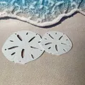 Mô hình Sand Dollar (đô la cát) trang trí 3D tinh tế - Thumbnail 1