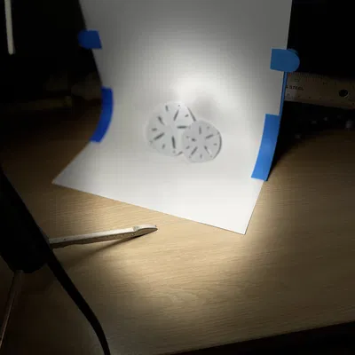 Mô hình Sand Dollar (đô la cát) trang trí 3D tinh tế