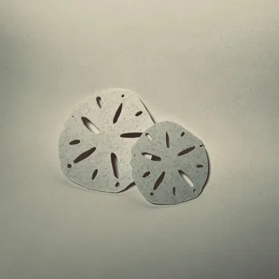 Mô hình Sand Dollar (đô la cát) trang trí 3D tinh tế