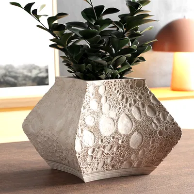 Chậu cây trong nhà – tích hợp khay hứng nước: Wild Pot