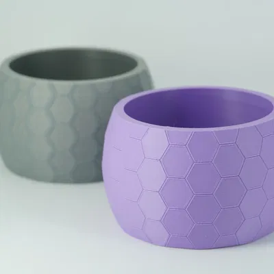 Chậu Cây Tổ Ong – Chậu Sen Đá & Bình Hoa Họa Tiết Lục Giác Hiện Đại