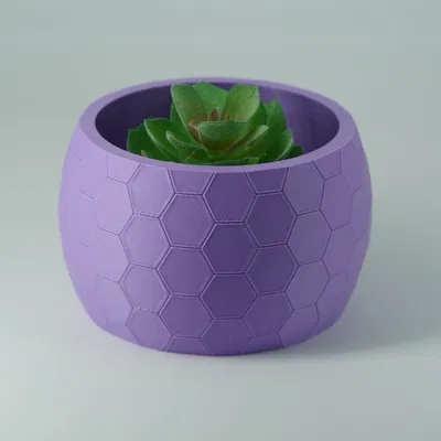 Chậu Cây Tổ Ong – Chậu Sen Đá & Bình Hoa Họa Tiết Lục Giác Hiện Đại