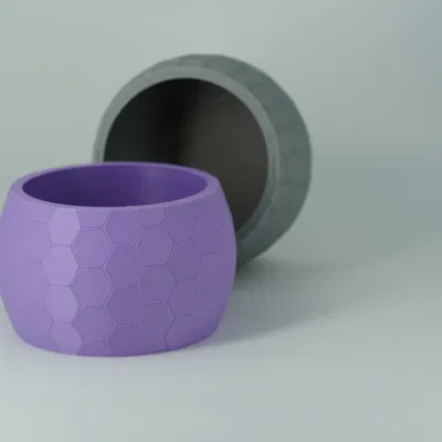 Chậu Cây Tổ Ong – Chậu Sen Đá & Bình Hoa Họa Tiết Lục Giác Hiện Đại