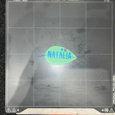 Móc khóa hình lá Natalia - Thẻ tên thiên nhiên & Phụ kiện treo túi (Không support, test trên Prusa Mini)