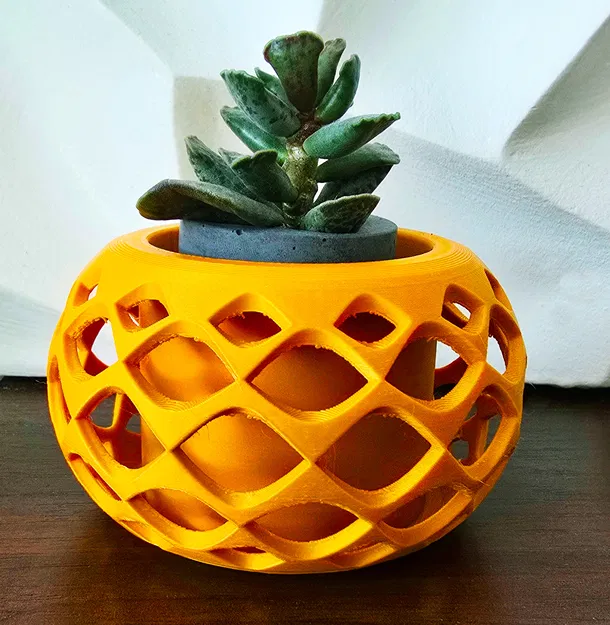 Chậu cây trang trí - Bộ sưu tập nhiều mẫu đa dạng - Image 2