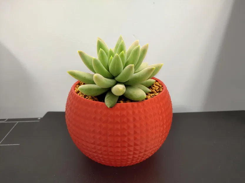 Mẫu Chậu Trồng Cây Mini Họa Tiết Hiện Đại In 3D Độc Đáo - Image 1