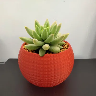 Mẫu Chậu Trồng Cây Mini Họa Tiết Hiện Đại In 3D Độc Đáo