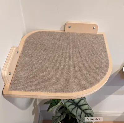 Kệ gắn tường cho mèo (Cat shelf) - Giải pháp leo trèo an toàn