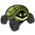 turtlecrawler_351662