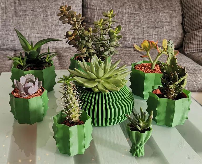 Bình hoa xương rồng - Chế độ in Vase - Image 1