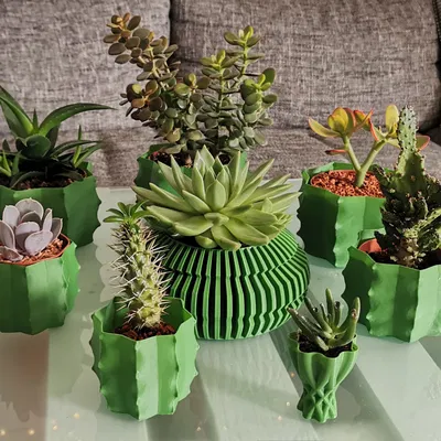 Bình hoa xương rồng - Chế độ in Vase