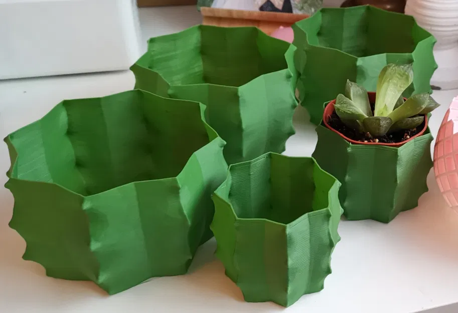 Bình hoa xương rồng - Chế độ in Vase - Image 2