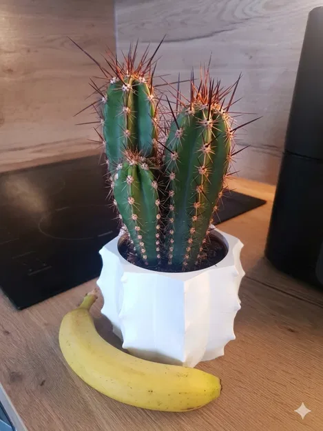 Cactus Vase Remix - Bình hoa xương rồng vừa vặn cho chậu cây 105mm - Image 1