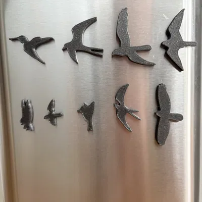 Bộ nam châm dán tủ lạnh hình chim lấy cảm hứng từ PRS Guitar