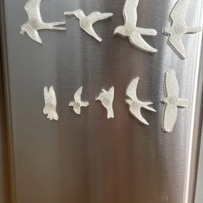 Bộ nam châm dán tủ lạnh hình chim lấy cảm hứng từ PRS Guitar