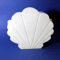 Túi xách vỏ sò (Shell handbag) - Thumbnail 2