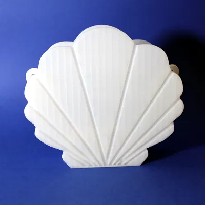 Túi xách vỏ sò (Shell handbag)