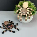 Mô hình nhện cử động linh hoạt (Flexi Spider) - Thumbnail 1