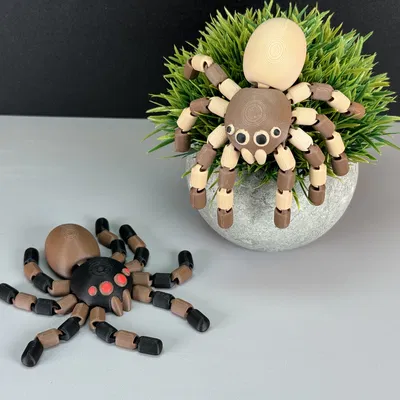 Mô hình nhện cử động linh hoạt (Flexi Spider)