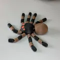 Mô hình nhện cử động linh hoạt (Flexi Spider) - Thumbnail 5