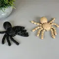 Mô hình nhện cử động linh hoạt (Flexi Spider) - Thumbnail 9