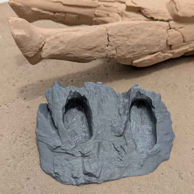 Tượng Người Sư Tử (Löwenmensch) - Mô hình in 3D tái tạo kèm đế trưng bày