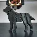 Mô hình chú chó Labrador linh hoạt in 3D cực đáng yêu - Thumbnail 1