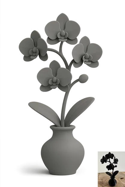 Hoa Lan Trong Chậu - Image 1