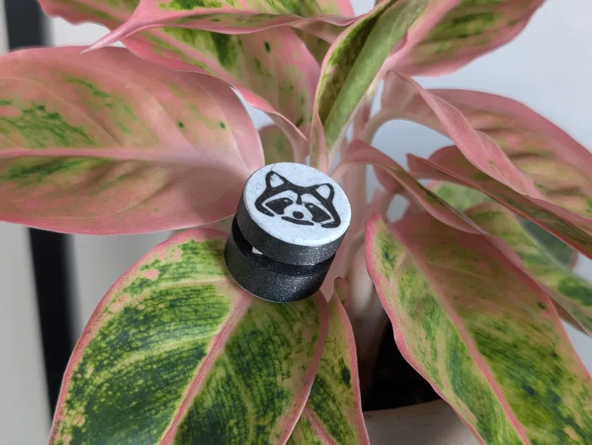 Keyboard Switch Fidget Raccoon - Đồ Chơi Giảm Stress Hình Gấu Mèo - Image 1