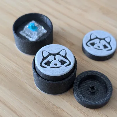 Keyboard Switch Fidget Raccoon - Đồ Chơi Giảm Stress Hình Gấu Mèo