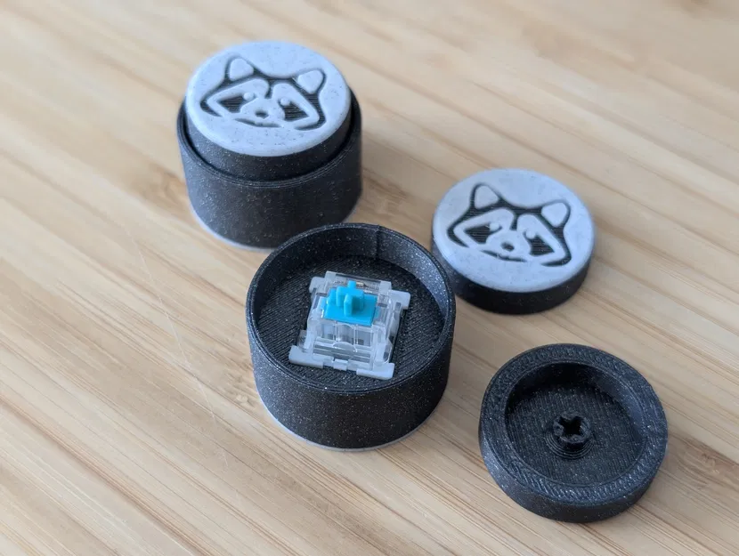 Keyboard Switch Fidget Raccoon - Đồ Chơi Giảm Stress Hình Gấu Mèo - Image 4