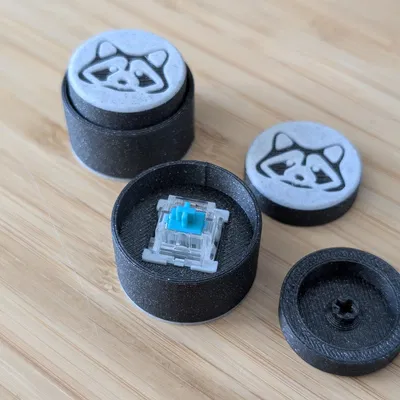 Keyboard Switch Fidget Raccoon - Đồ Chơi Giảm Stress Hình Gấu Mèo