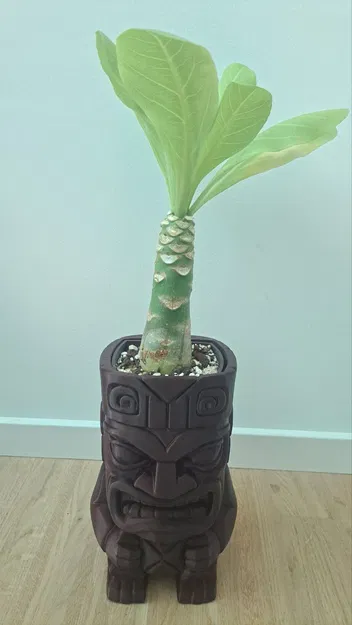Chậu cây Tiki-Planter độc đáo - Image 2
