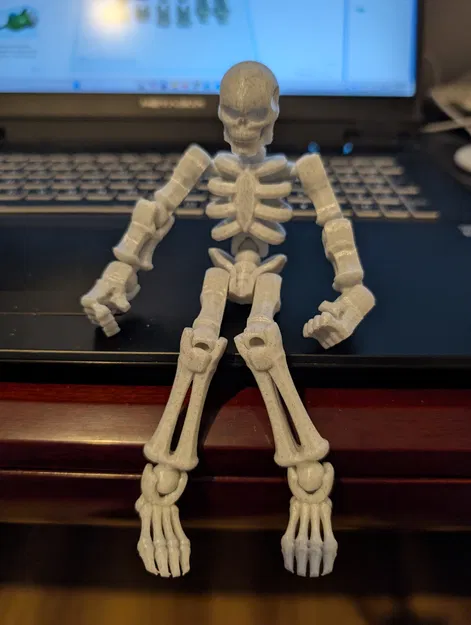 Mô hình bộ xương khớp nối Articulated Skeleton in 3D linh hoạt - Image 1