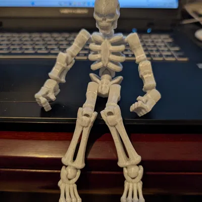 Mô hình bộ xương khớp nối Articulated Skeleton in 3D linh hoạt